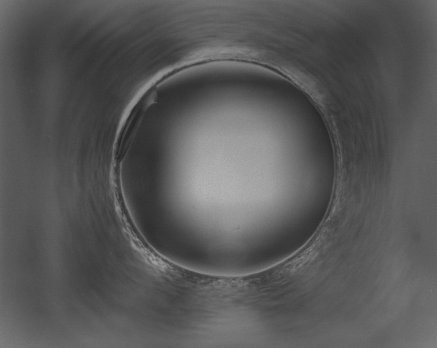 X0000053010912200507081256