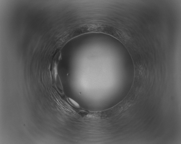 X0000053010914200507081255