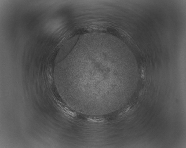 X0000053010915200507081255