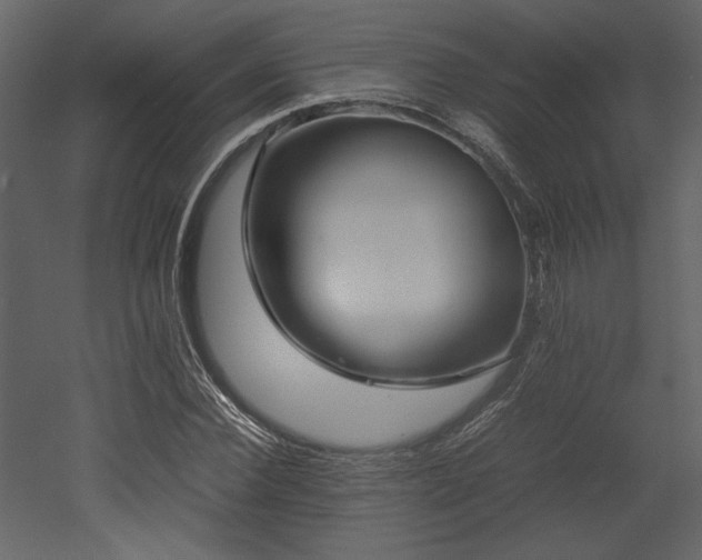 X0000053010924200507081255