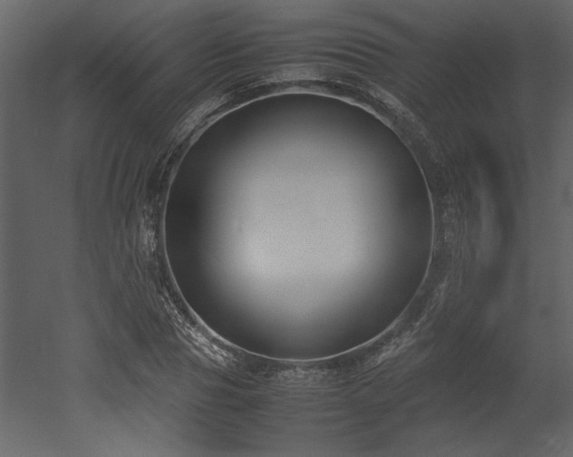 X0000053010929200507081256