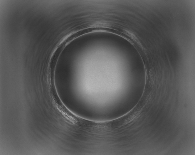 X0000053010931200507081256