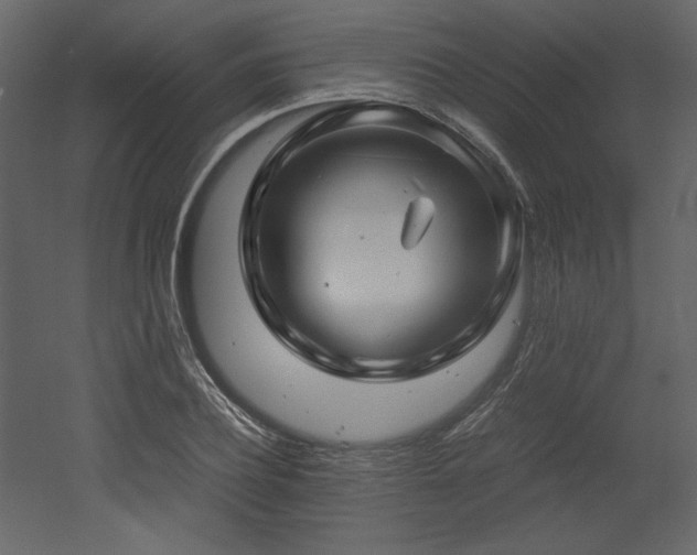X0000053010932200507081256