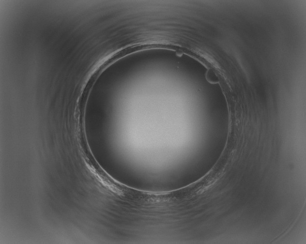 X0000053010933200507081256