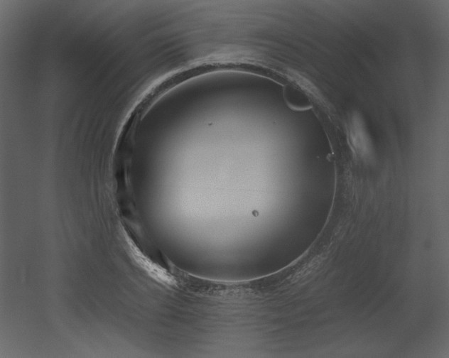 X0000053010934200507081256