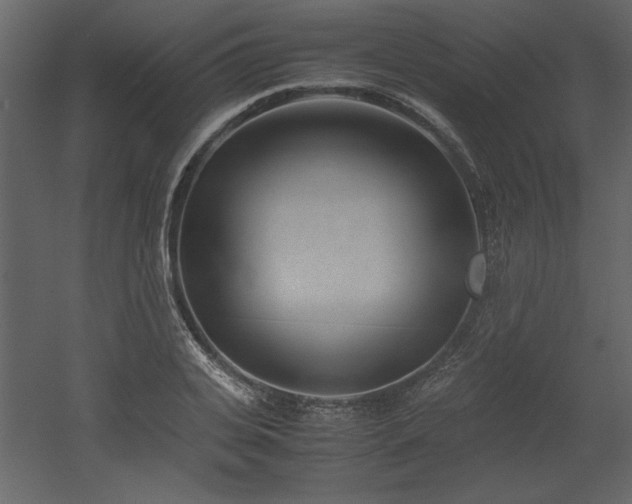 X0000053010935200507081256