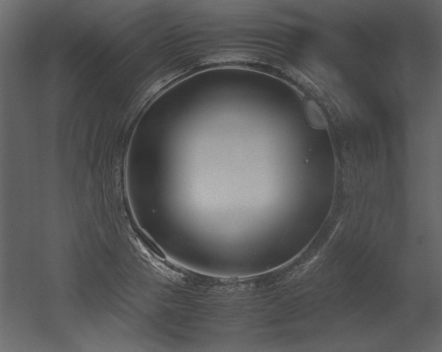 X0000053010937200507081256