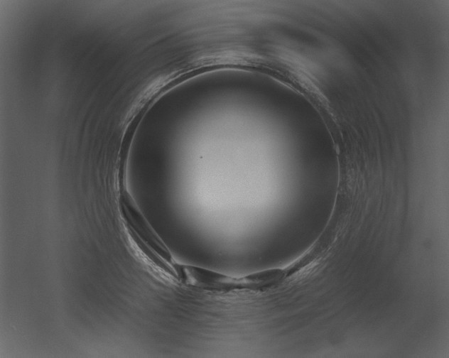 X0000053010938200507081256