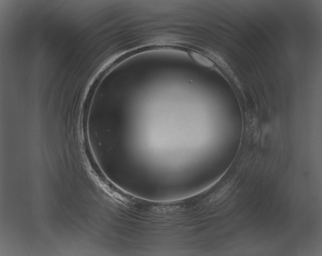 X0000053010939200507081256