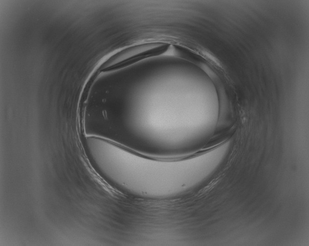 X0000053010940200507081256