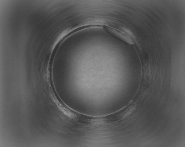 X0000053010944200507081256