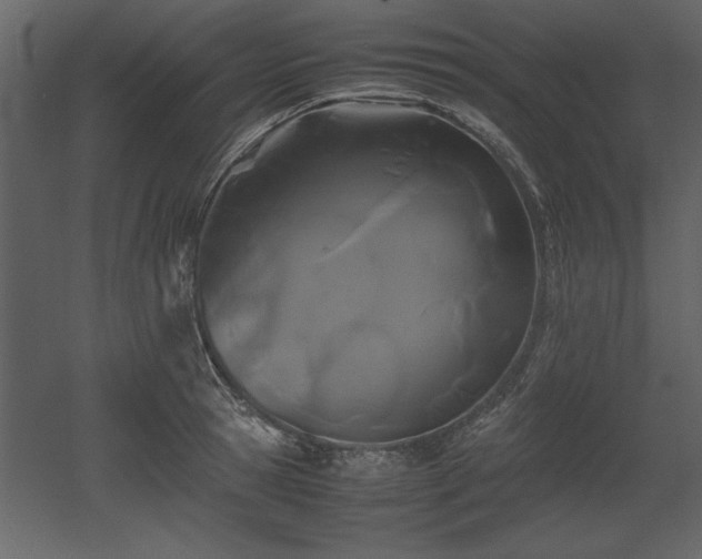X0000053010945200507081256