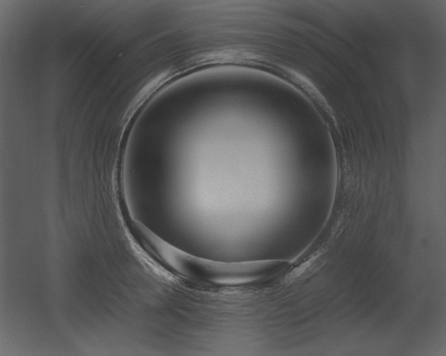X0000053010946200507081256