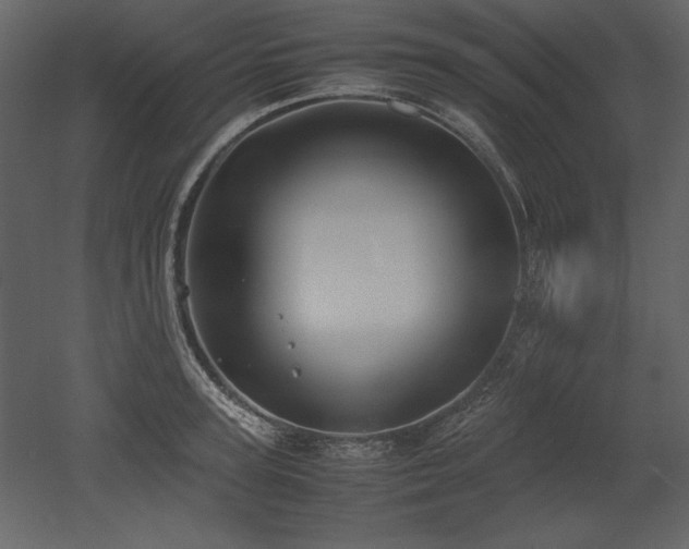 X0000053010947200507081256