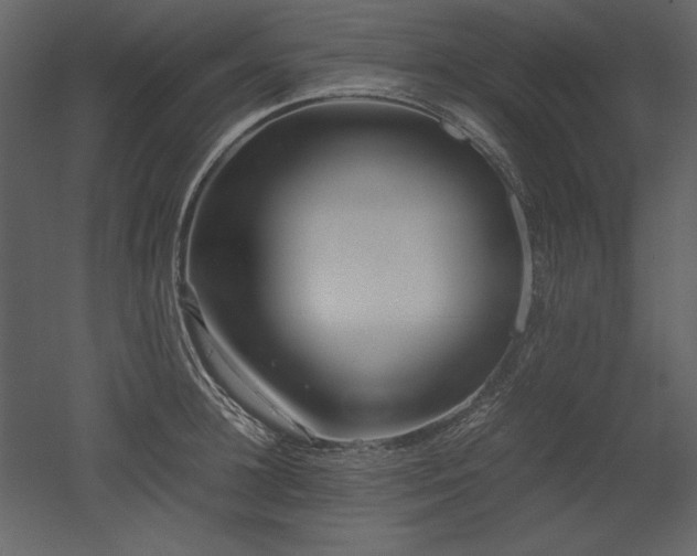 X0000053010948200507081256