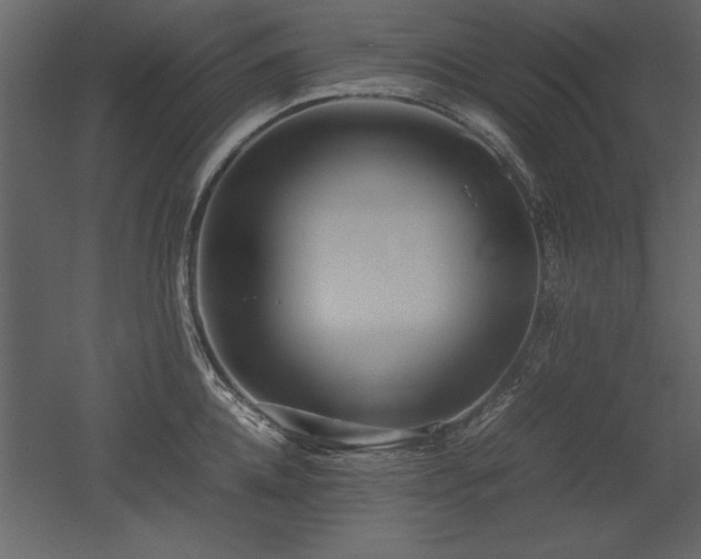 X0000053010952200507081256