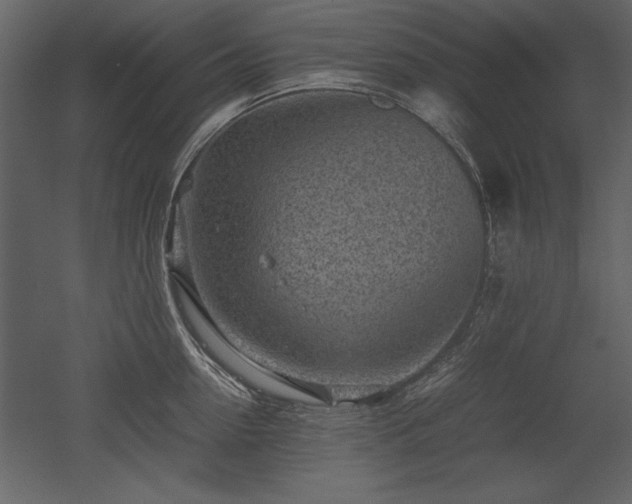 X0000053010954200507081256