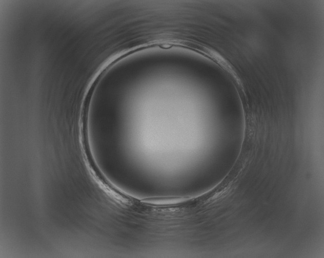 X0000053010955200507081256