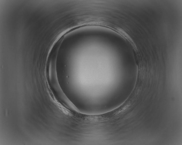 X0000053010956200507081256