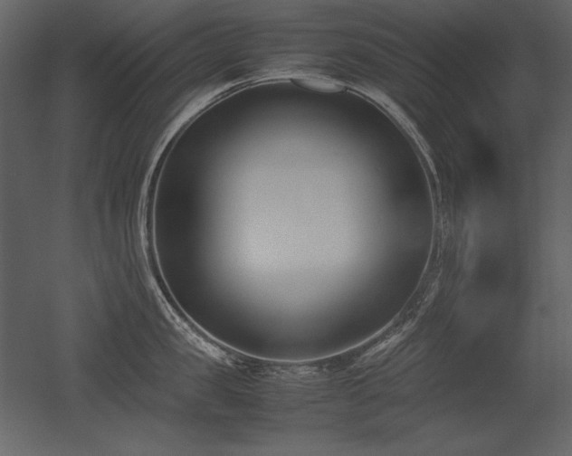 X0000053010957200507081256