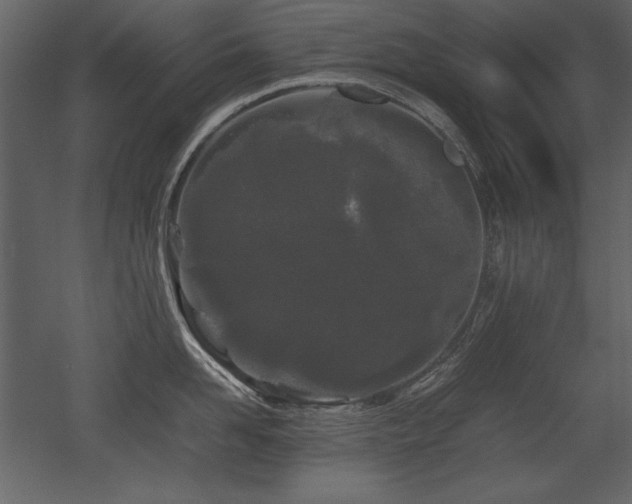 X0000053010958200507081256