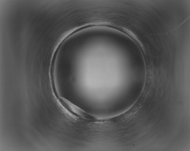 X0000053010959200507081256