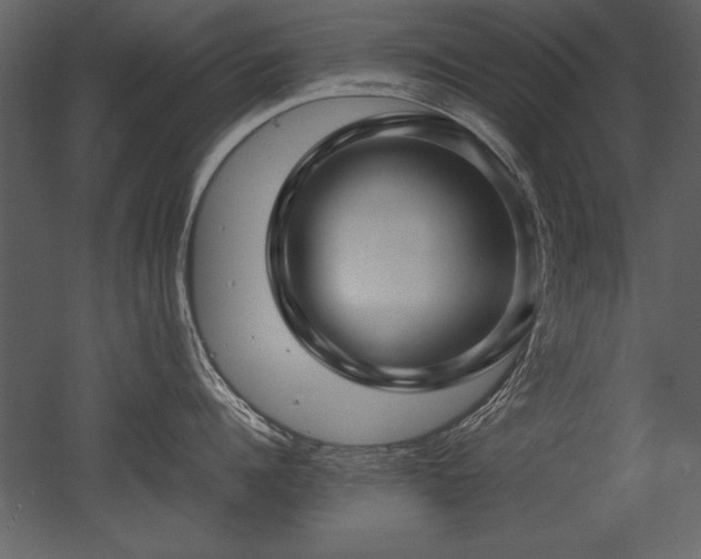 X0000053010960200507081256