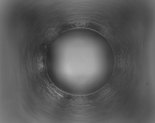 X0000053010962200507081255