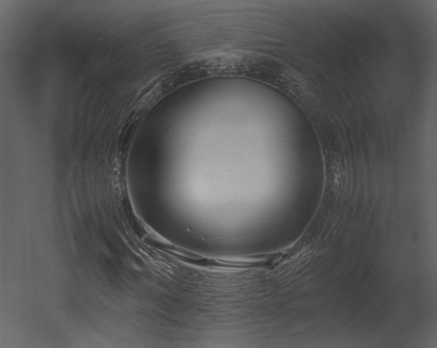 X0000053010964200507081255