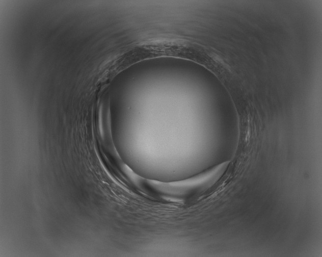 X0000053010965200507081255