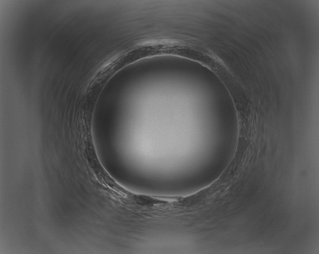 X0000053010967200507081255