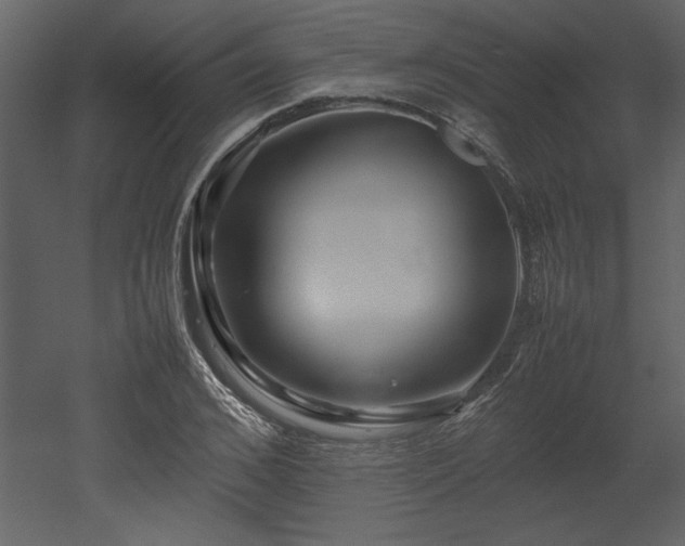 X0000053010976200507081255