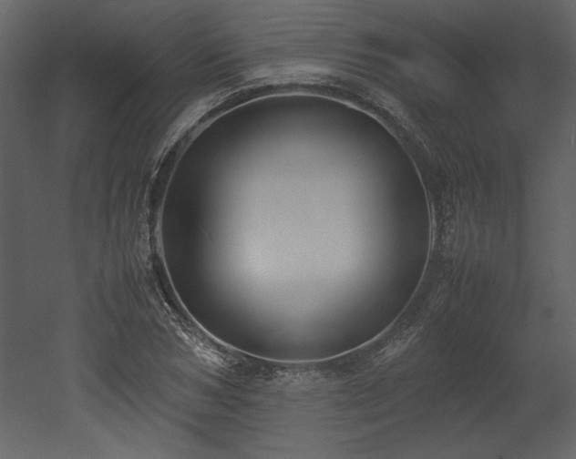 X0000053010978200507081255