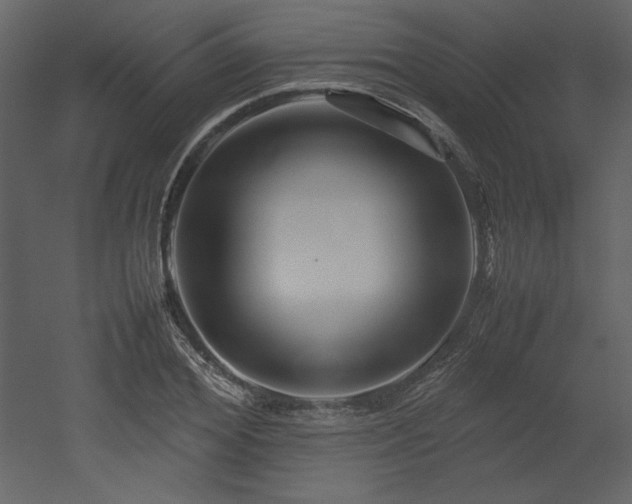 X0000053010980200507081255