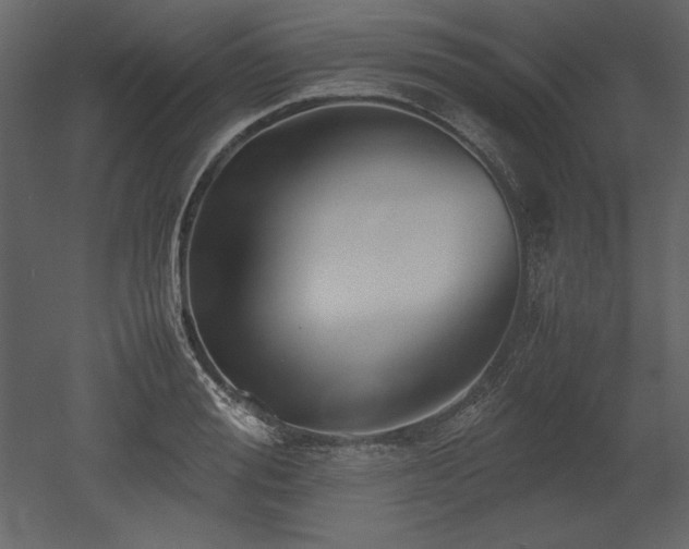 X0000053010988200507081255