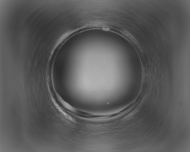 X0000053010989200507081255