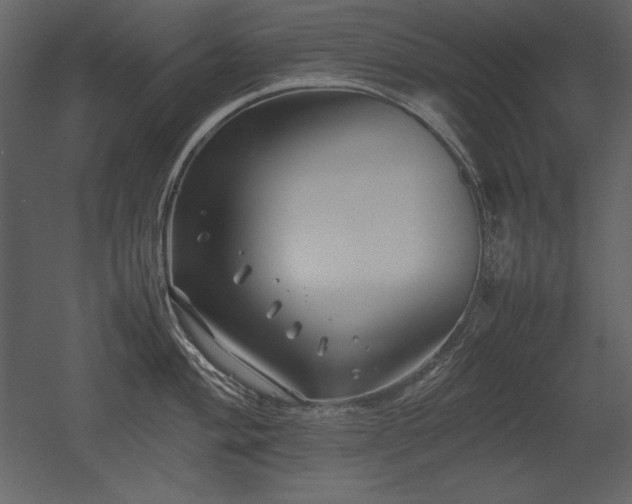 X0000053011004200507081254