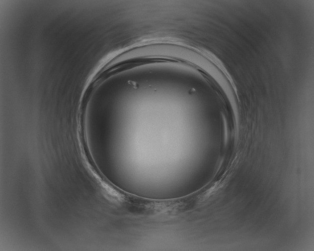 X0000053011005200507081254