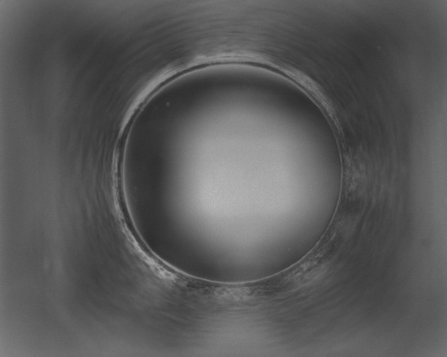 X0000053011006200507081254