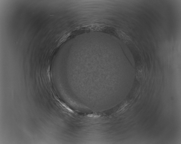 X0000053011010200507081254