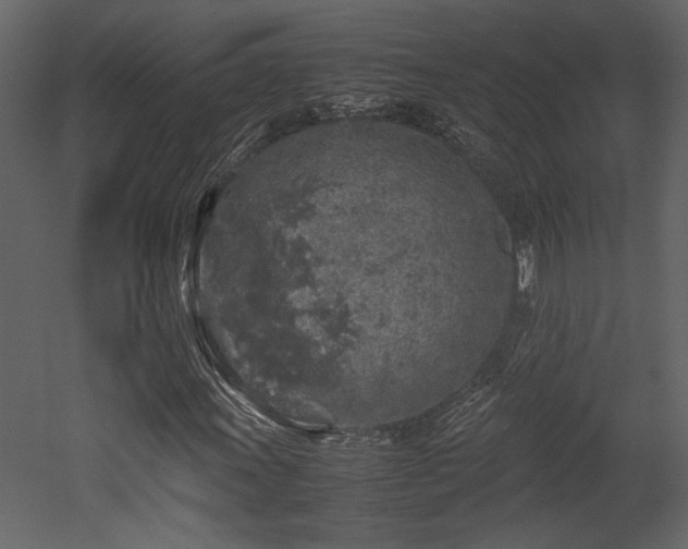 X0000053011011200507081254