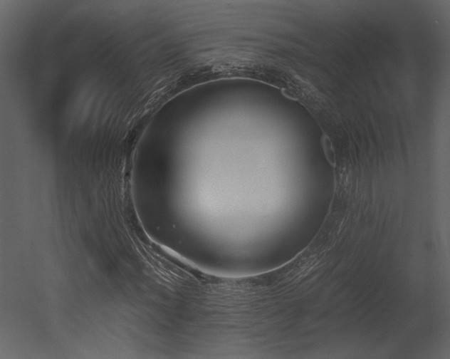 X0000053011012200507081254