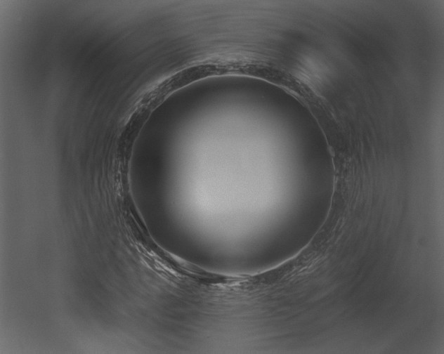 X0000053011016200507081254
