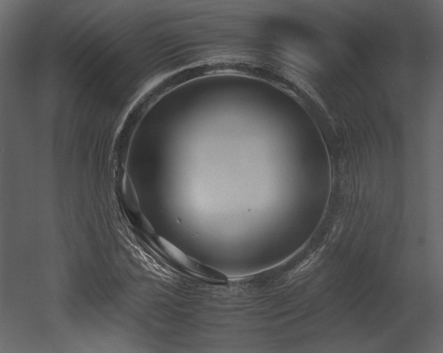 X0000053011021200507081254