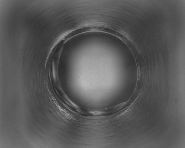 X0000053011022200507081254