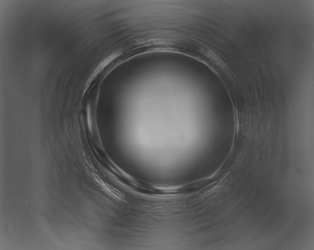 X0000053011026200507081254