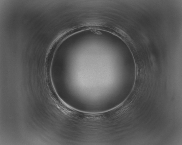 X0000053011027200507081254
