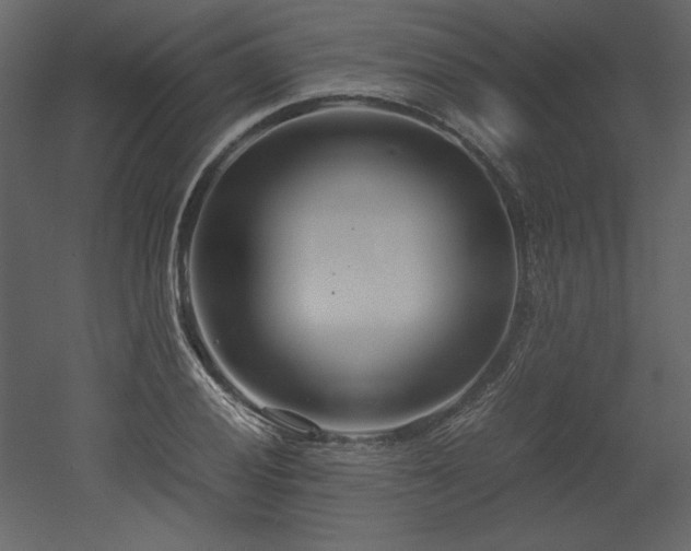 X0000053011028200507081254