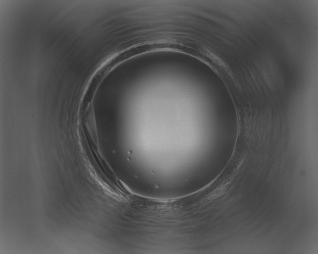 X0000053011029200507081254