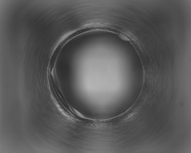 X0000053011030200507081254